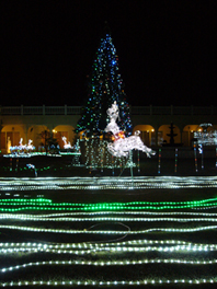 12_11_21_news02